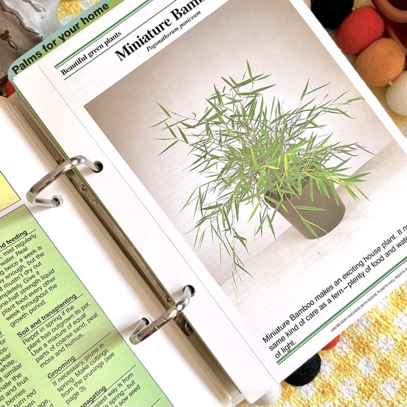 Other - Vintage 1970s Success With House Plants Binder Style Hardcover Garden Book